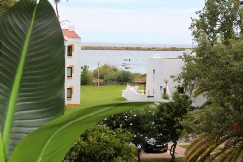 Apartment Terrace Of The Sea